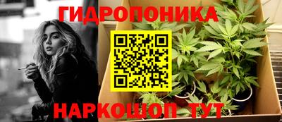 PSILOCYBIN Абакан