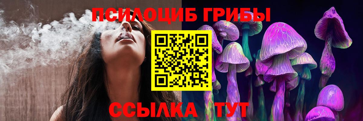 Галлюциногенные грибы Cubensis Абинск